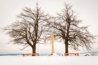 V zimě (Foto: Pavel Juráček)